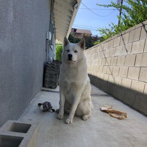 Meet your Posher, Ngan